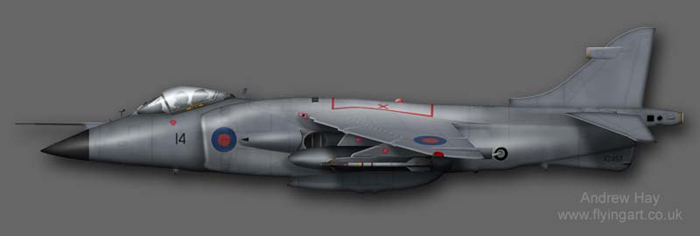 Sea Harrier FRS.1 XZ457 800 NAS Operation CORPRATE